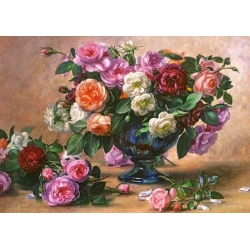 Róże, Albert Williams